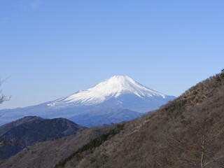 富士山