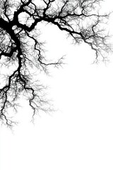 Branches intertwining against a bright white background in winter