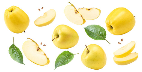 yellow apples with green leaf and slices isolated on a white background. clipping path