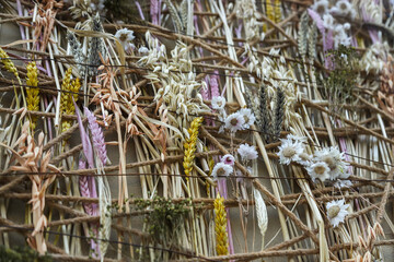 Creative arrangement of dried flowers and grasses adorns a wall in Bucharest, Romania, showcasing...