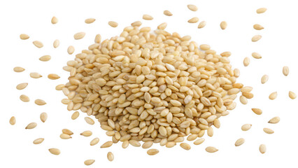 Harvesting White Sesame Seeds in Agricultural Fields, Culinary Ingredient, Close-up View, Natural Environment