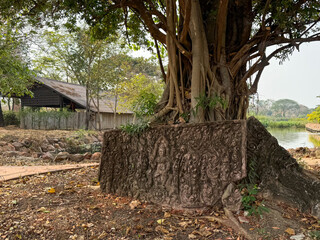 Intricate stone carving rests beneath a sprawling tree by a serene waterway