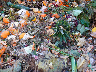 Exotic compost heap