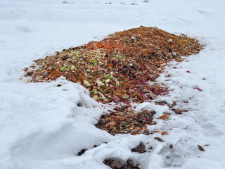 Compost heap in deep snow