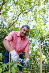 Portrait, trimming and senior man in garden, backyard and happiness for retirement, healthy and...