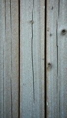 Fototapeta premium Weathered grey wood planks, vertical grain, abstract texture , wood grain, natural texture, abstract