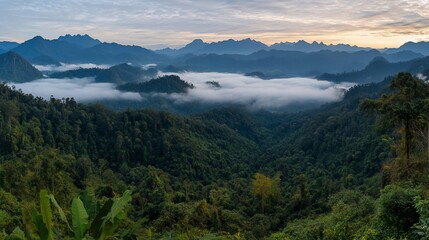 Fototapeta premium Panoramic view of misty mountains and lush forest at sunrise.
