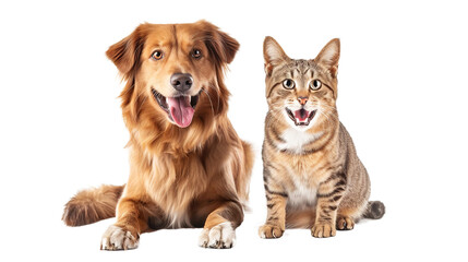 Obraz premium Smiling Cat and Dog Companions Isolated on Transparent PNG 