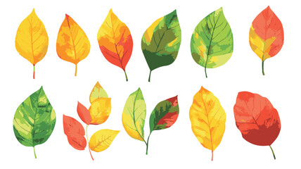 Obraz premium Colorful Floral Pattern with Abstract Flowers and Set of Autumn Leaves on White Background Art & Illustration