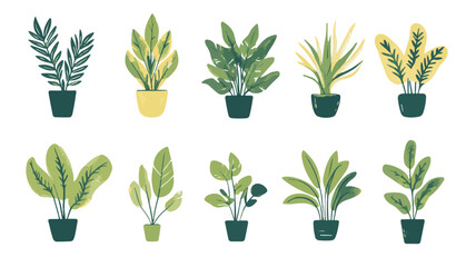 Colorful Floral Pattern with Abstract Flowers and Set of Autumn Leaves on White Background Art & Illustration