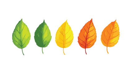 Colorful Floral Pattern with Abstract Flowers and Set of Autumn Leaves on White Background Art & Illustration