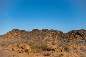 Two klipspringer antelopes (Oreotragus oreotragus), well camouflaged amongst the rocks at Augrabies Falls National Park, Northern Cape. South Africa.
