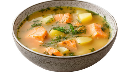 fresh vegetable soup with vegetables