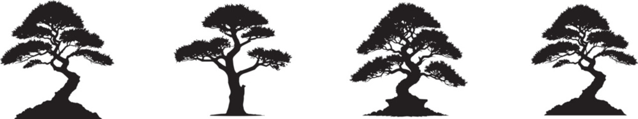 Bonsai black tree silhouette, isolated on white background