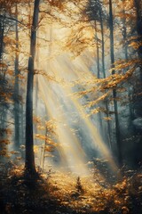Obraz premium Enchanting Autumn Forest Bathed in Ethereal Sunbeams and Misty Hues