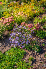 Backyard with fantastic landscaping, patio, drought resistant plants, succulent garden