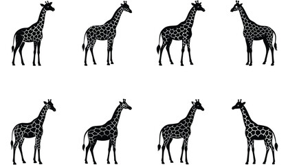 Vector silhouettes of giraffes. Giraffe silhouette isolated on white background. Giraffe vector shilhouette bundle