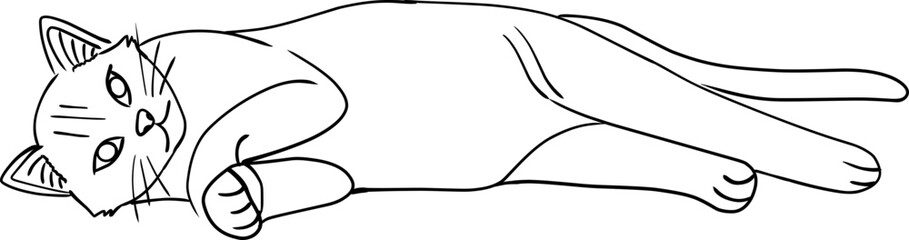 Obraz premium cat hand drawn for coloring page