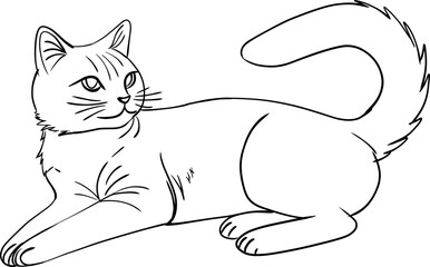 cat hand drawn for coloring page