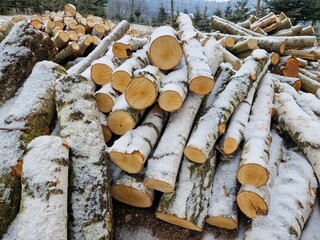 Brennholz