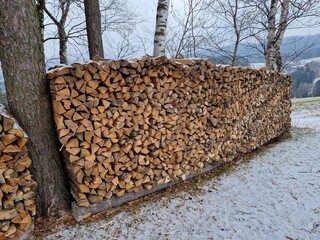Brennholz - Stapel im Wald