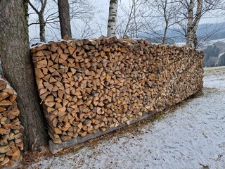Holzstapel im Wald