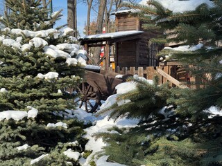 cart near a wooden house