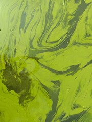 Abstract Swirls of Green Algae on Polluted Water Surface