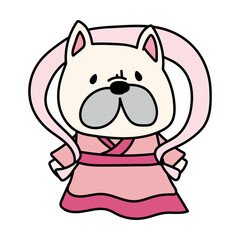 織姫の格好をしたフレンチブルドッグ