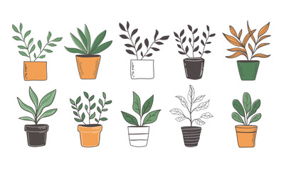 set of hand drawn plant in pot vector illustration