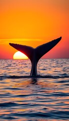 A dramatic whale tail emerging on the sea surface at sunset. Perfect for nature, wildlife, and ocean concepts.