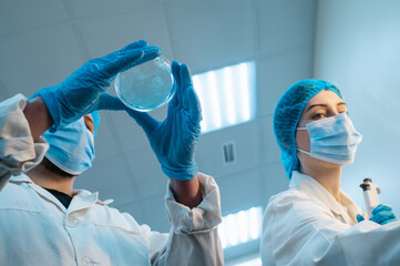 team of scientist researchers man and woman in protective gloves, masks, caps with petri dish and...