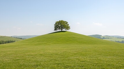 Lone tree atop green hill, scenic landscape, summer day, nature background, ideal for peaceful imagery