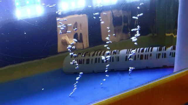 Bubbles rise from the tanks in the fish market.수산시장안의 수조에서 기포가 올라옵니다.