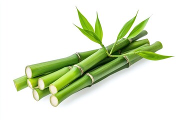 Fototapeta premium A bundle of bamboo stalks with bright green leaves, isolated