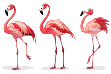 flamingo vector design, awesome flamingo ,high resolution printable flamingo artwork and Flamingo silhouette vector illustration Flamingo silhouette vector Silhouette Art & Illustration