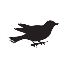 Obraz premium Silhouette of a bird in flight, perfect for nature or wildlife imagery.