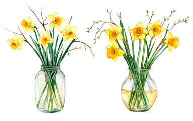 Obraz premium Watercolor illustration of daffodils in a glass vase on a white isolated background. A delicate and elegant floral arrangement, perfect for greeting cards, packaging, branding and interior decoration.