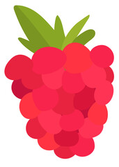 Png colorful raspberry fruit sticker clipart © Rawpixel.com