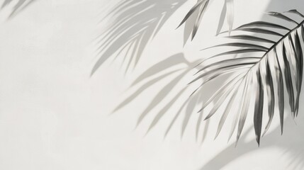 Palm leaves casting shadows on a light background, tropical foliage silhouette, nature decor, organic shapes, minimalist design, serene atmosphere.