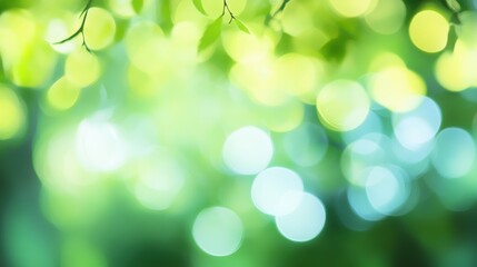Fototapeta premium Nature background with soft bokeh effect, green leaves, and colorful light spots. Bright blurred colors for calming wallpapers and design projects.