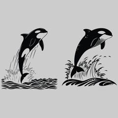 an orca jumping out of the ocean silhouette vector design art and illustration © MD. MIZANUR
