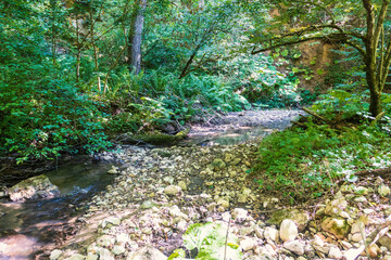 morning walks along the banks with a view of the river structure on a spring morning
