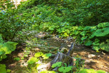 morning walks along the banks with a view of the river structure on a spring morning