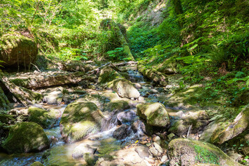 morning walks along the banks with a view of the river structure on a spring morning