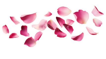 collection of delicate pink rose petals floating gracefully against a white background. creating a serene and romantic atmosphere this visual evokes feelings of beauty. love. and tranquility. often us