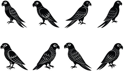 Parrot bird vector shilhouette bundle. Perched parrots and other birds. Macaw Bird Icon on Black and White Vector Backgrounds. Exotic Amazon Birds (Vector)