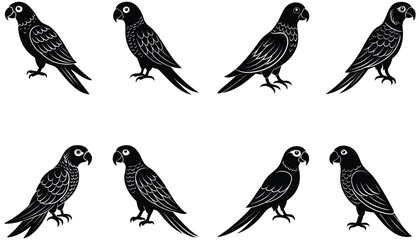 Parrot bird vector shilhouette bundle. Perched parrots and other birds. Macaw Bird Icon on Black and White Vector Backgrounds. Exotic Amazon Birds (Vector)