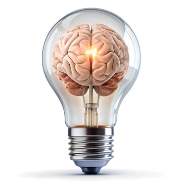 light bulb with brain