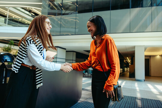 Professional business colleagues greeting each other with a handshake ahead of a corporate meeting